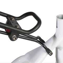 Porte-Bagage Axiom Streamliner Disque DLX