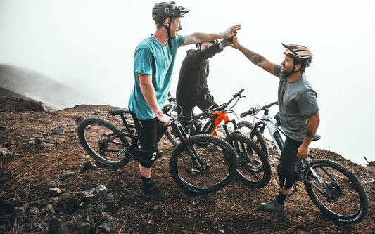 Les vélos électriques Haibike: Fiche technique