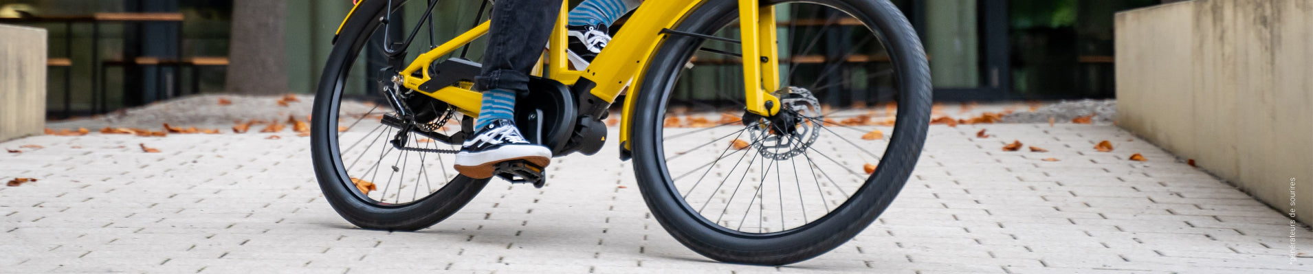 Vélos de Ville électriques