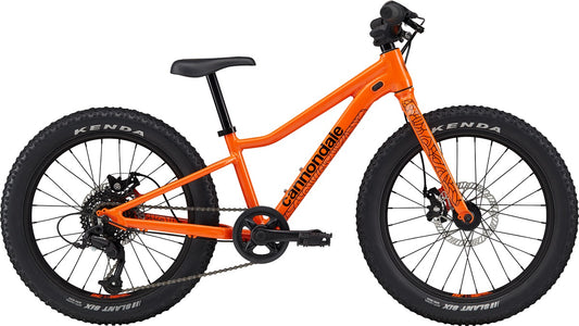 Cannondale Trail Plus 20