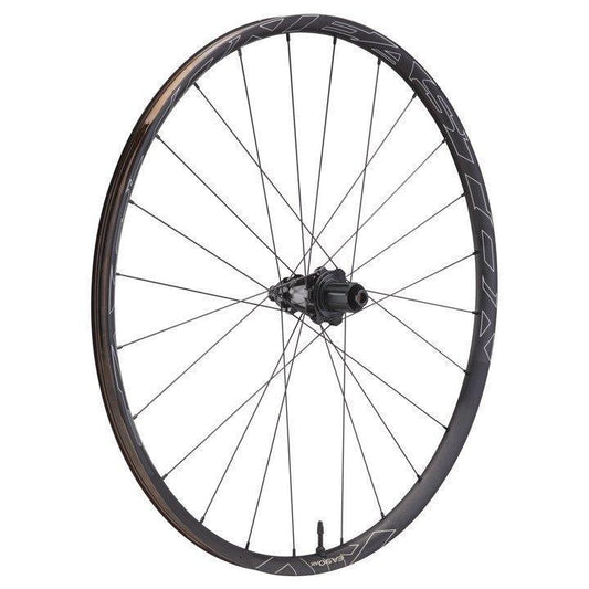 Roue Arriere Easton EA90 AX HG