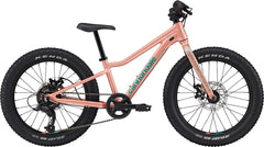 Cannondale Trail Plus 20